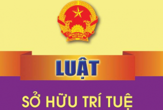 Về quy định hủy bỏ hiệu lực Đăng ký nhãn hiệu vì dụng ý xấu tại Luật Sở hữu trí tuệ 2025